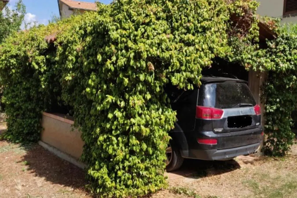 Casa Conti, Riotorto In Centro A 7 Minuti Dal Mare Apartment